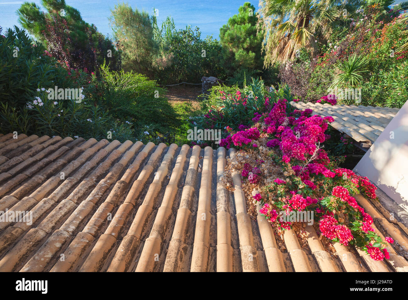 Ancien carrelage en argile pente de toit descend dans un jardin d'été, photo de fond avec effet de perspective Banque D'Images