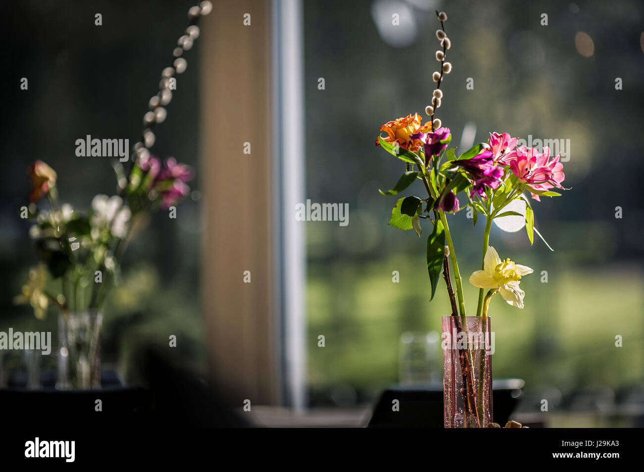 Vase de fleurs Arrangement de fleurs restaurant coloré de l'intérieur Personne ne Banque D'Images