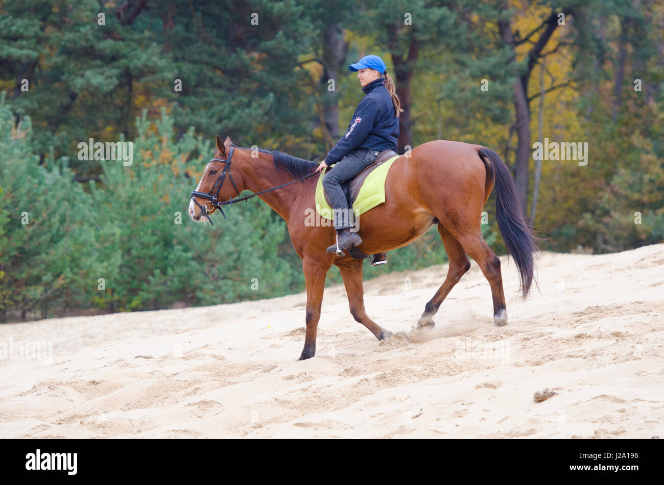 Equitation à bord d'un sanddrift Banque D'Images