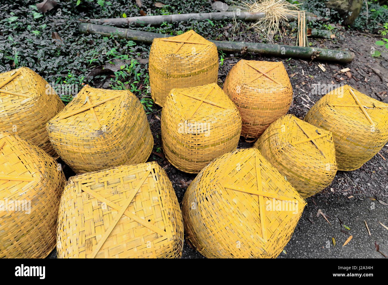 De grands paniers faits de bandes du bambou tressé peint en jaune à l'envers sur le sentier pour monter et descendre le cours d'eau longeant la Tat Banque D'Images