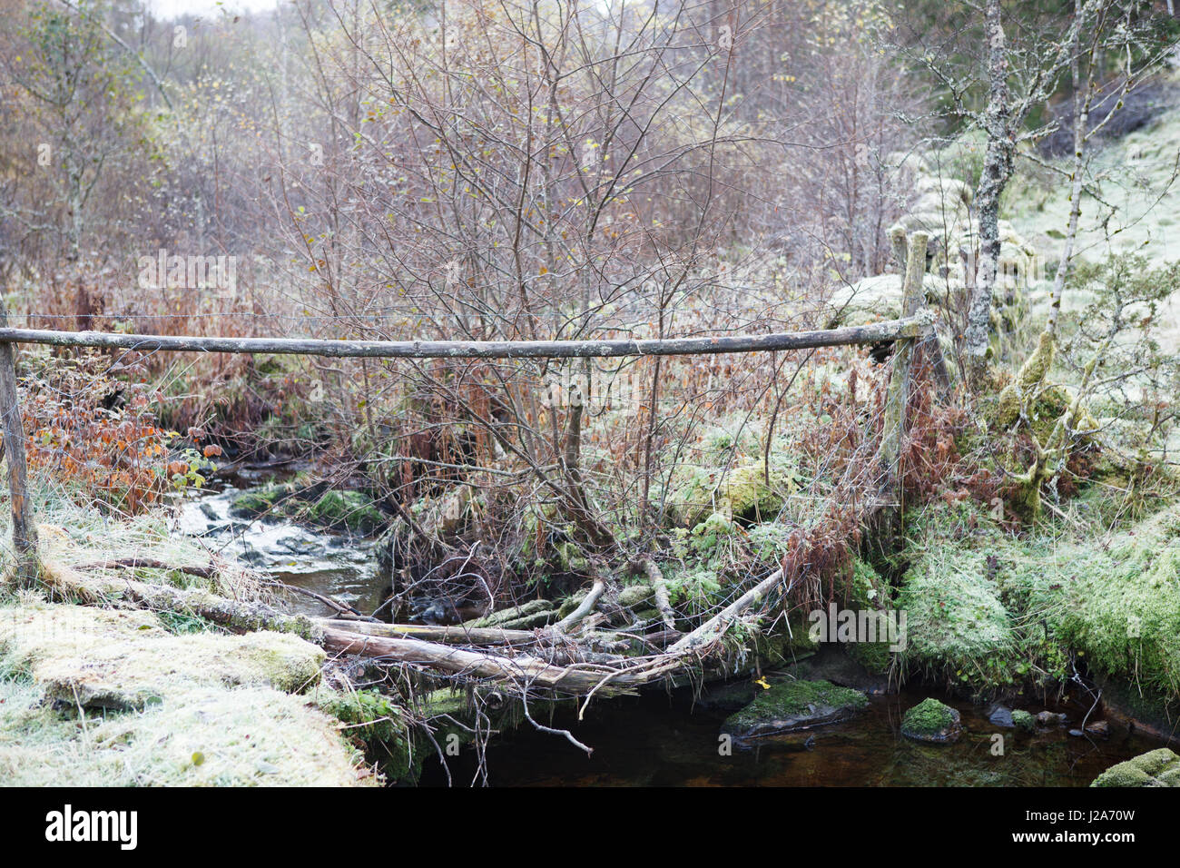 Une froide journée d'automne le long du ruisseau à l'ouest de la Norvège. Banque D'Images