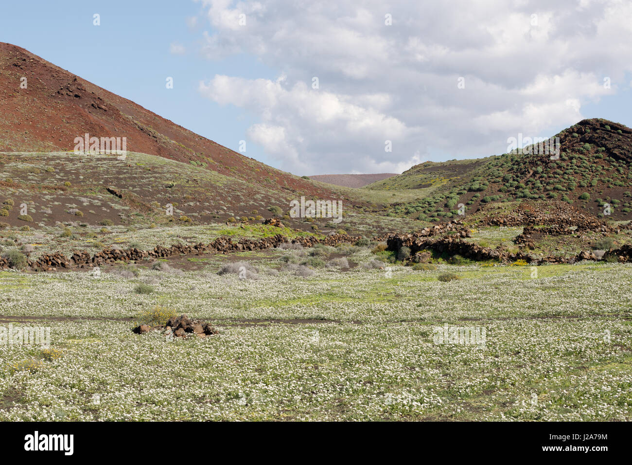 Paysage de lave sur la magnifique île de Lanzarote Espagnol Banque D'Images