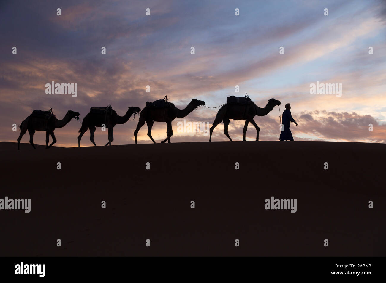 L'Afrique du Nord, le Tafilalet, Erfoud, Merzouga, Erg Chebbi, Dromadaire (Camelus dromedarius) caravane de chameaux, d'être dirigées dans un désert en homme touareg, à l'Erg Chebbi Dunes (jusqu'à 400 pieds de hauteur). Banque D'Images