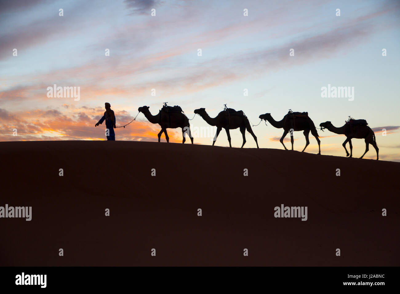 L'Afrique du Nord, le Tafilalet, Erfoud, Merzouga, Erg Chebbi, Dromadaire (Camelus dromedarius) caravane de chameaux, d'être dirigées dans un désert en homme touareg, à l'Erg Chebbi Dunes (jusqu'à 400 pieds de hauteur). Banque D'Images