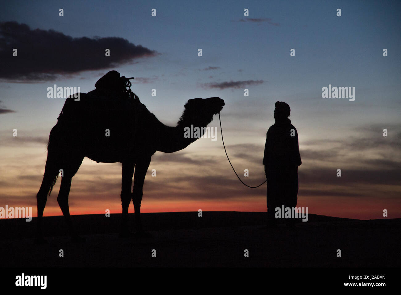 L'Afrique, le Maroc, le Tafilalet, Erfoud, Merzouga, Erg Chebbi, Dromadaire (Camelus dromedarius), l'homme touareg avec chameaux au coucher du soleil, sur les dunes de l'Erg Chebbi (jusqu'à 400 pieds de hauteur). Banque D'Images