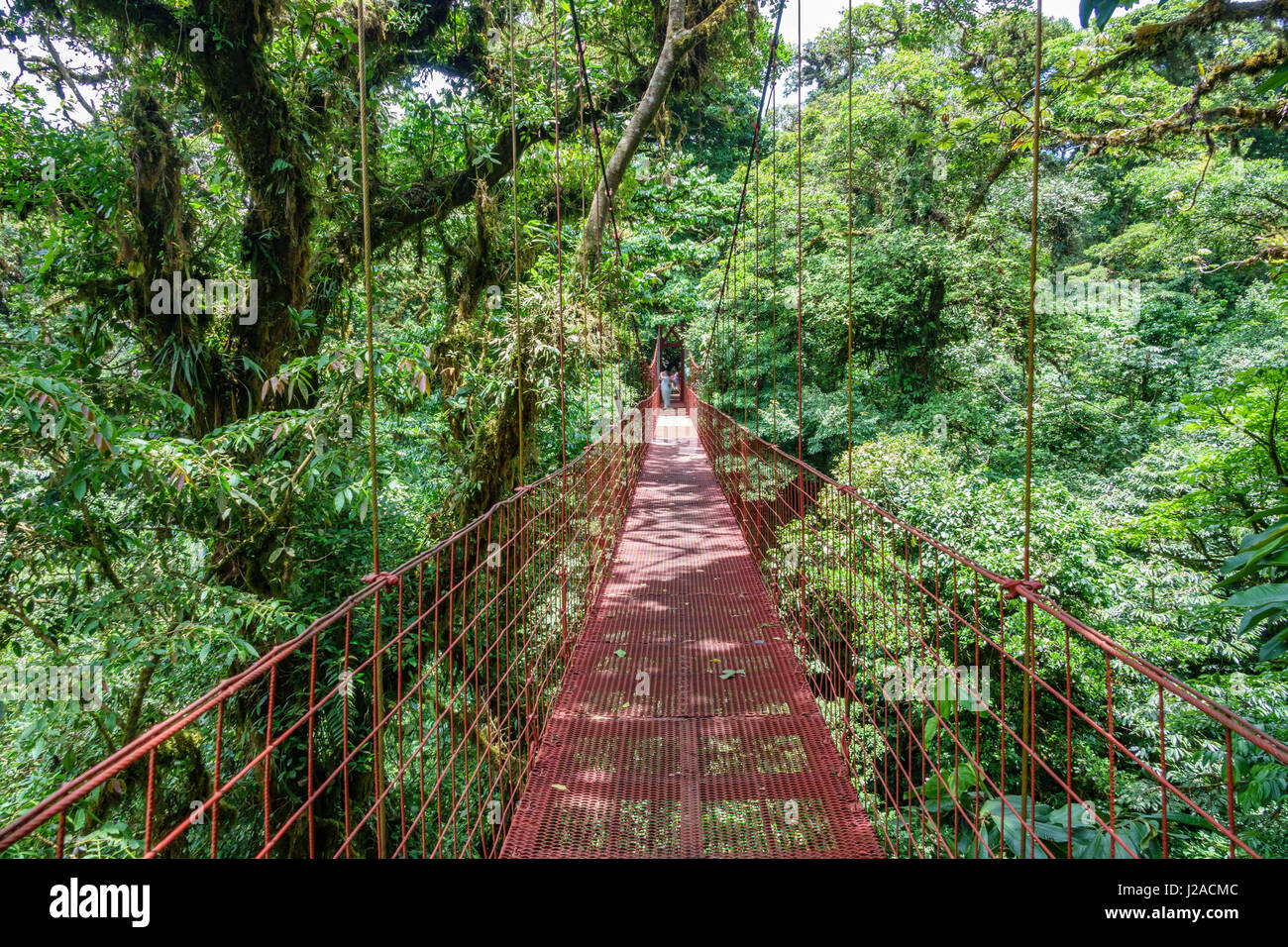 Pont suspendu à la Forêt Nuageuse de Monteverde, Costa Rica Banque D'Images