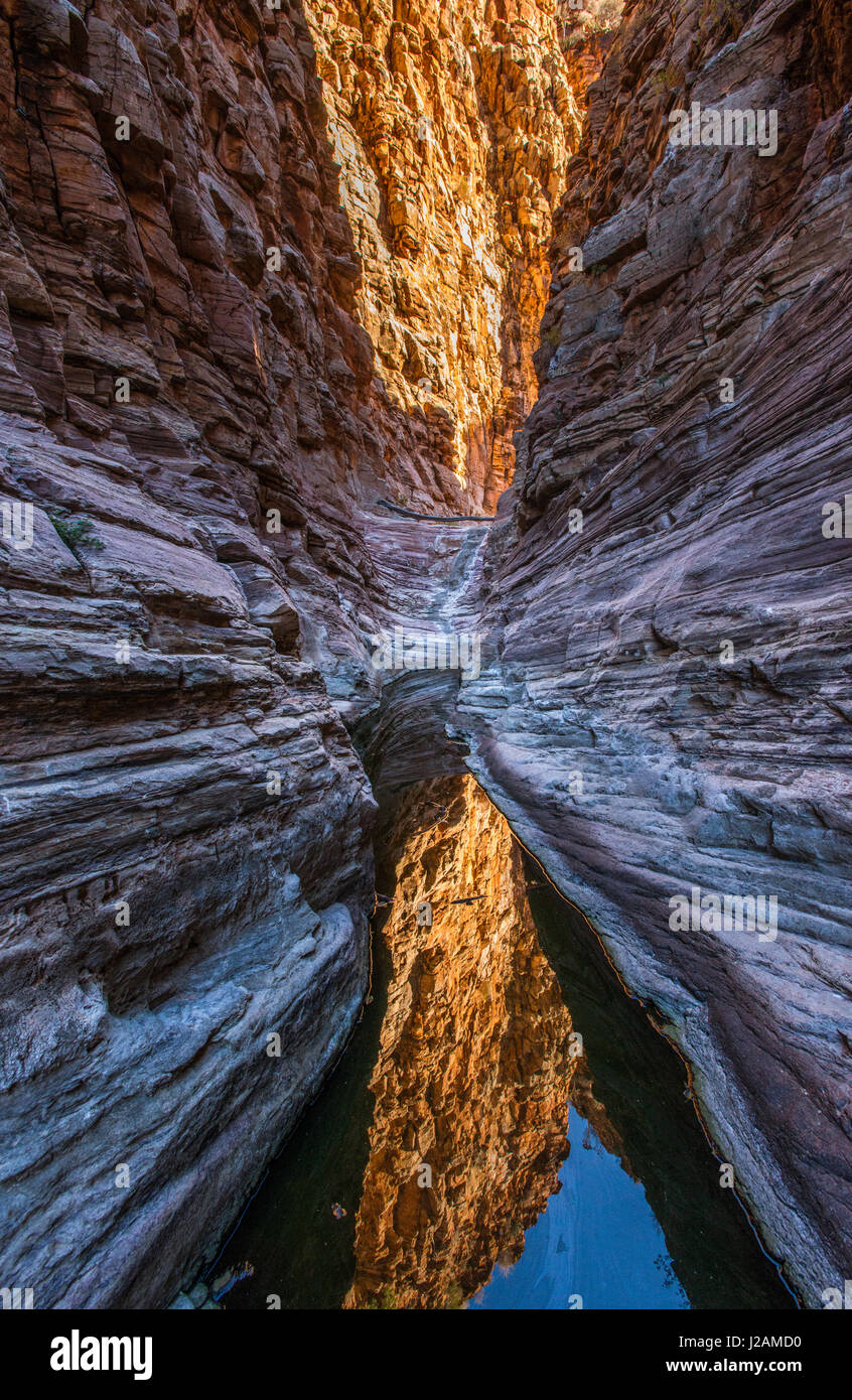Réflexions d'un parfait emplacement canyon de grès dans un petit lac, le désert de Namibie - verticale Banque D'Images