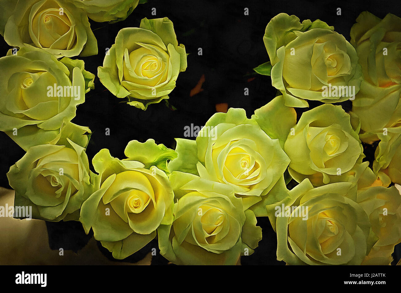 Illustrations de fleurs, bouquet, peinture des roses blanches, roses,  aquarelle, peinture, Rose (Rosa) d'Amérique latine Photo Stock - Alamy