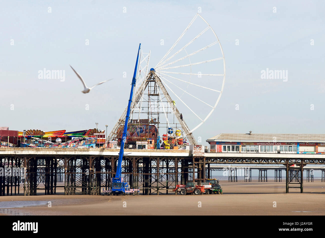 La reconstruction de la grande roue sur la jetée centrale de Blackpool, Lancashire,,uk,après son service et l'entretien d'hiver Banque D'Images
