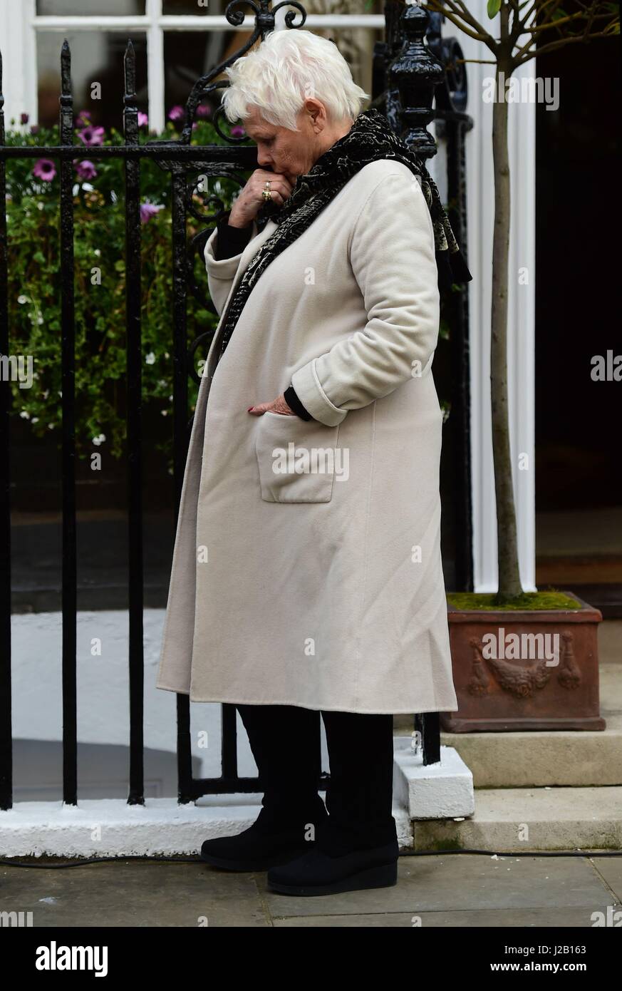 Dame Judi Dench à l'inauguration d'un héritage anglais blue plaque commémorant Sir John Gielgud au numéro 16 Cowley Street à Westminster, Londres, où il a vécu pendant 31 ans. Banque D'Images