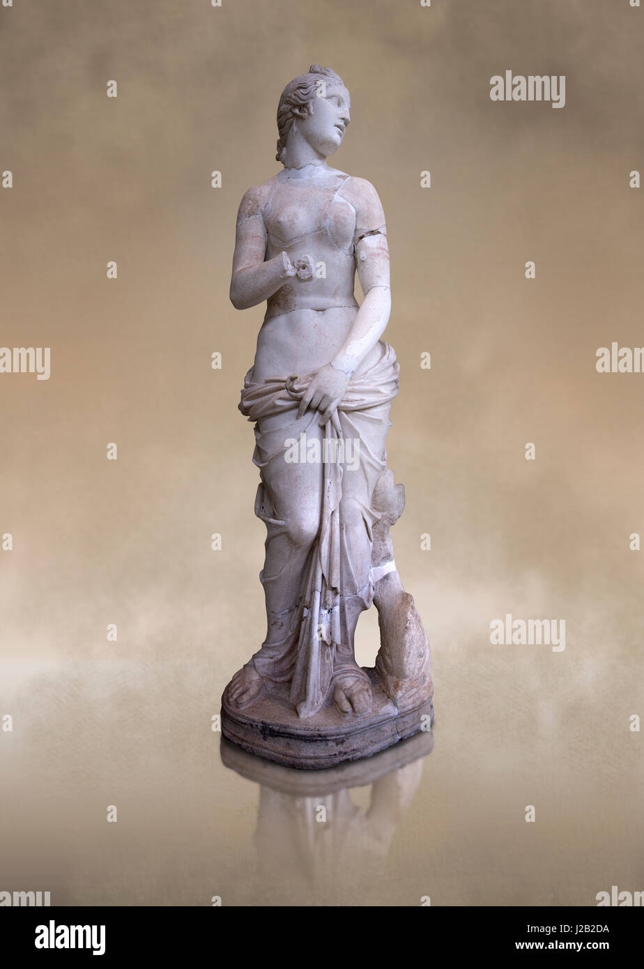 La Statue De Venus La Deesse De L Amour Suit Le Style D Un Modeste Aphrodite Le National Musee Du Bardo Tunis Photo Stock Alamy La Statue De Venus La Deesse De L Amour Suit Le Style D Un Modeste Aphrodite Le National Musee Du Bardo Tunis Photo Stock Alamy