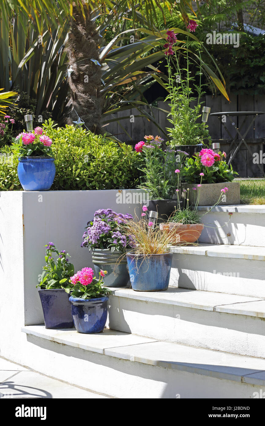 Pots décoratifs s'abaisse en position sur patio étapes dans un jardin du sud de Londres, UK Banque D'Images