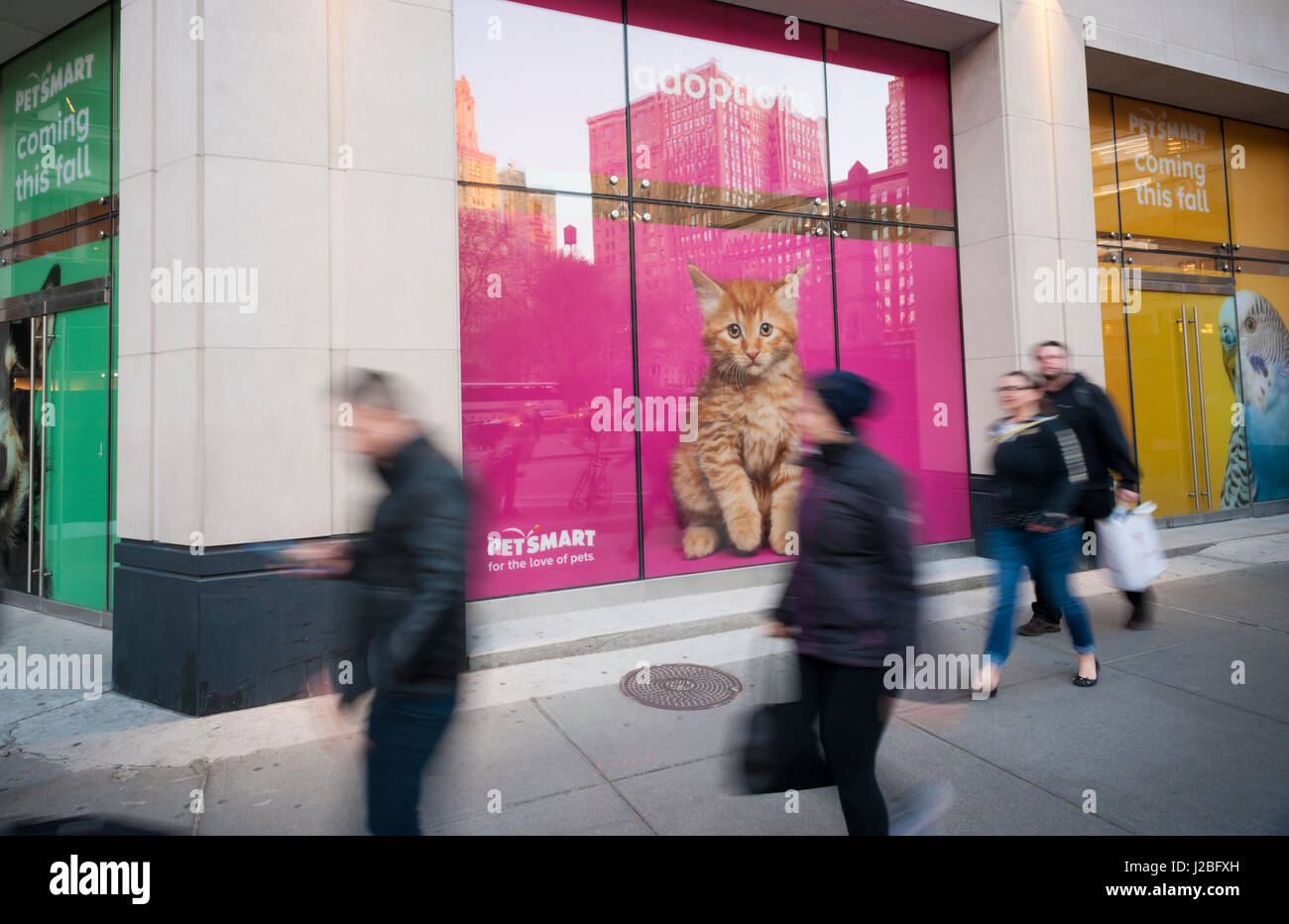 La future maison d'une animalerie Petsmart dans le quartier Flatiron de New York le mardi, Avril 18, 2017. Petsmart a accepté d'acquérir l'e-commerce détaillant Chewy.com pour un montant non communiqué. L'acquisition augmente la brique-et-mortier Petsmart's présence en ligne. (© Richard B. Levine) Banque D'Images