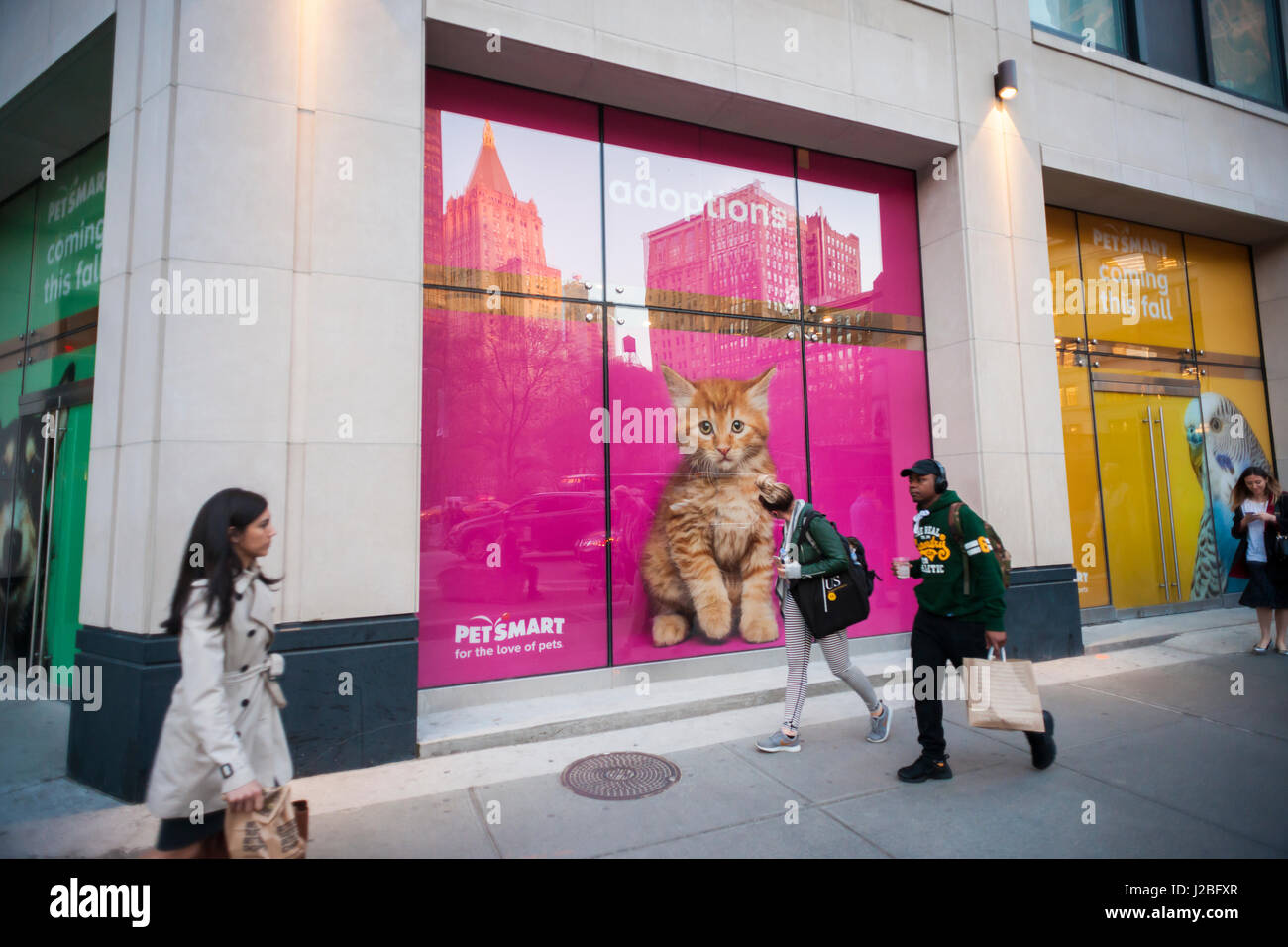 La future maison d'une animalerie Petsmart dans le quartier Flatiron de New York le mardi, Avril 18, 2017. Petsmart a accepté d'acquérir l'e-commerce détaillant Chewy.com pour un montant non communiqué. L'acquisition augmente la brique-et-mortier Petsmart's présence en ligne. (© Richard B. Levine) Banque D'Images