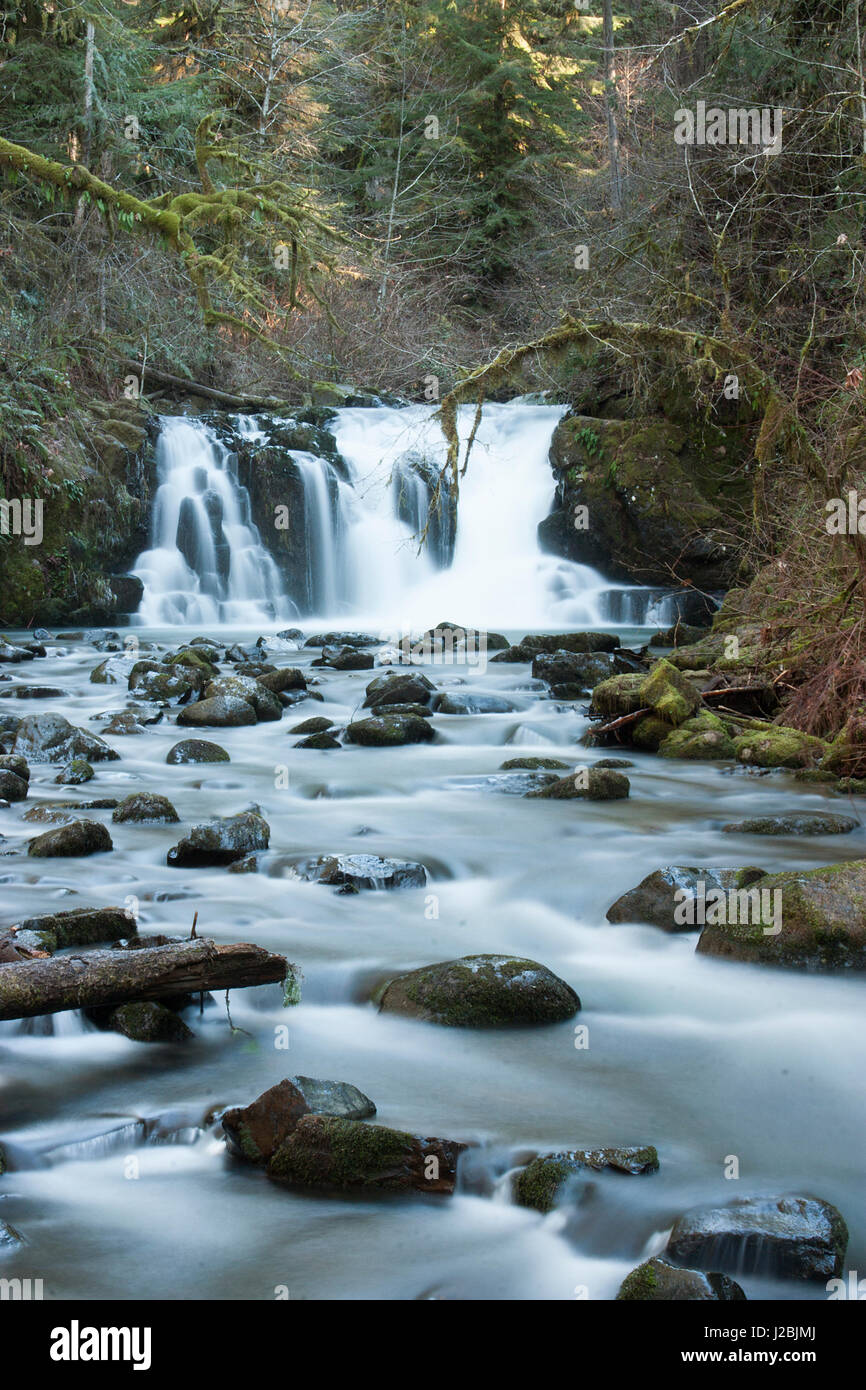 Piscine Crystal Falls, McDowell Creek Falls County Park, Oregon Banque D'Images