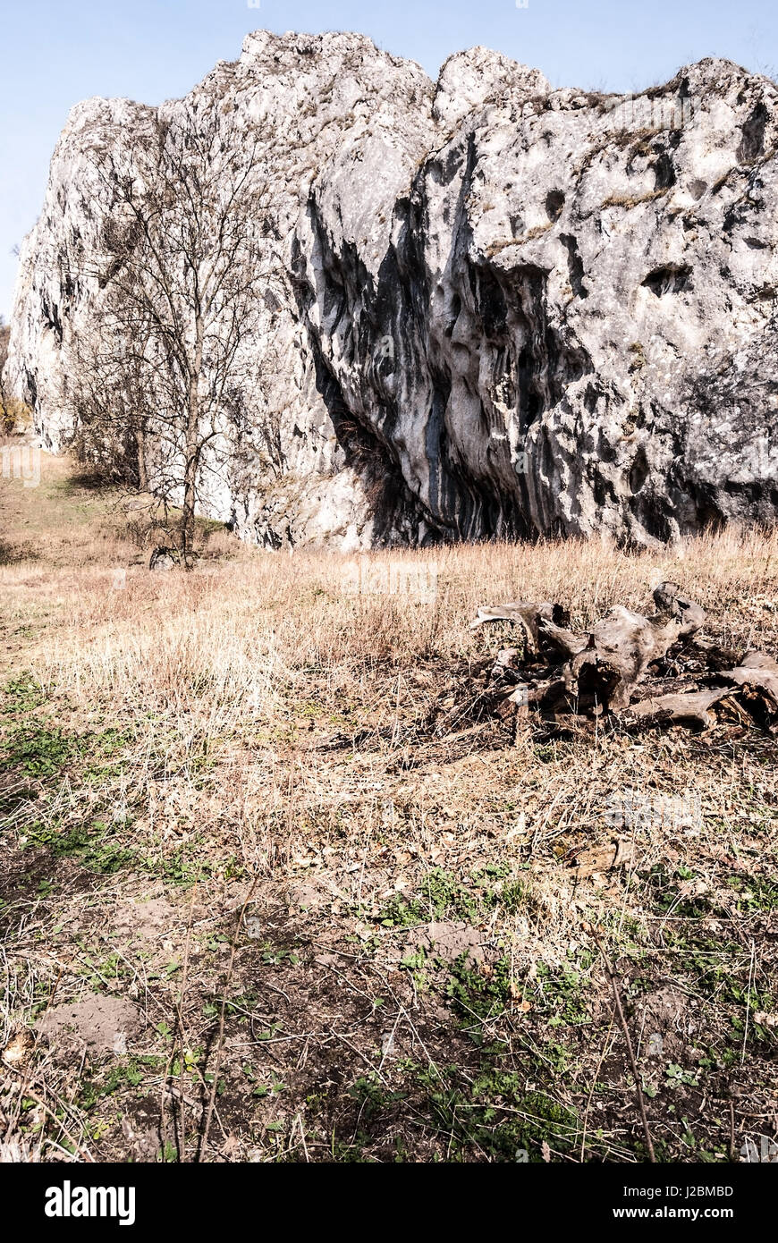 Dolomitian rock avec belle vue se replie, pré, arbre isolé et ciel clair au printemps palava montagnes en Moravie du sud en République tchèque Banque D'Images
