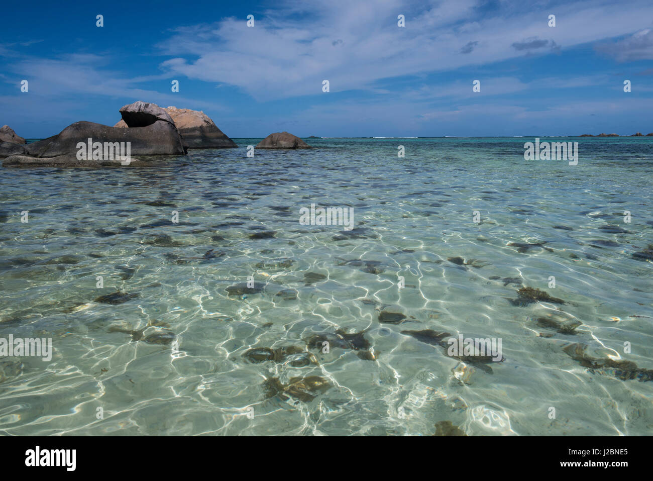 Océan Indien, Seychelles, Mahe, sainte Anne Marine National Park, Moyenne Island. Tailles disponibles (grand format) Banque D'Images