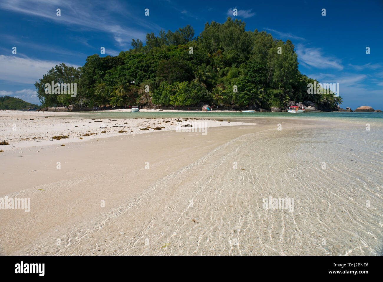 Océan Indien, Seychelles, Mahe, sainte Anne Marine National Park, Moyenne Island. Tailles disponibles (grand format) Banque D'Images