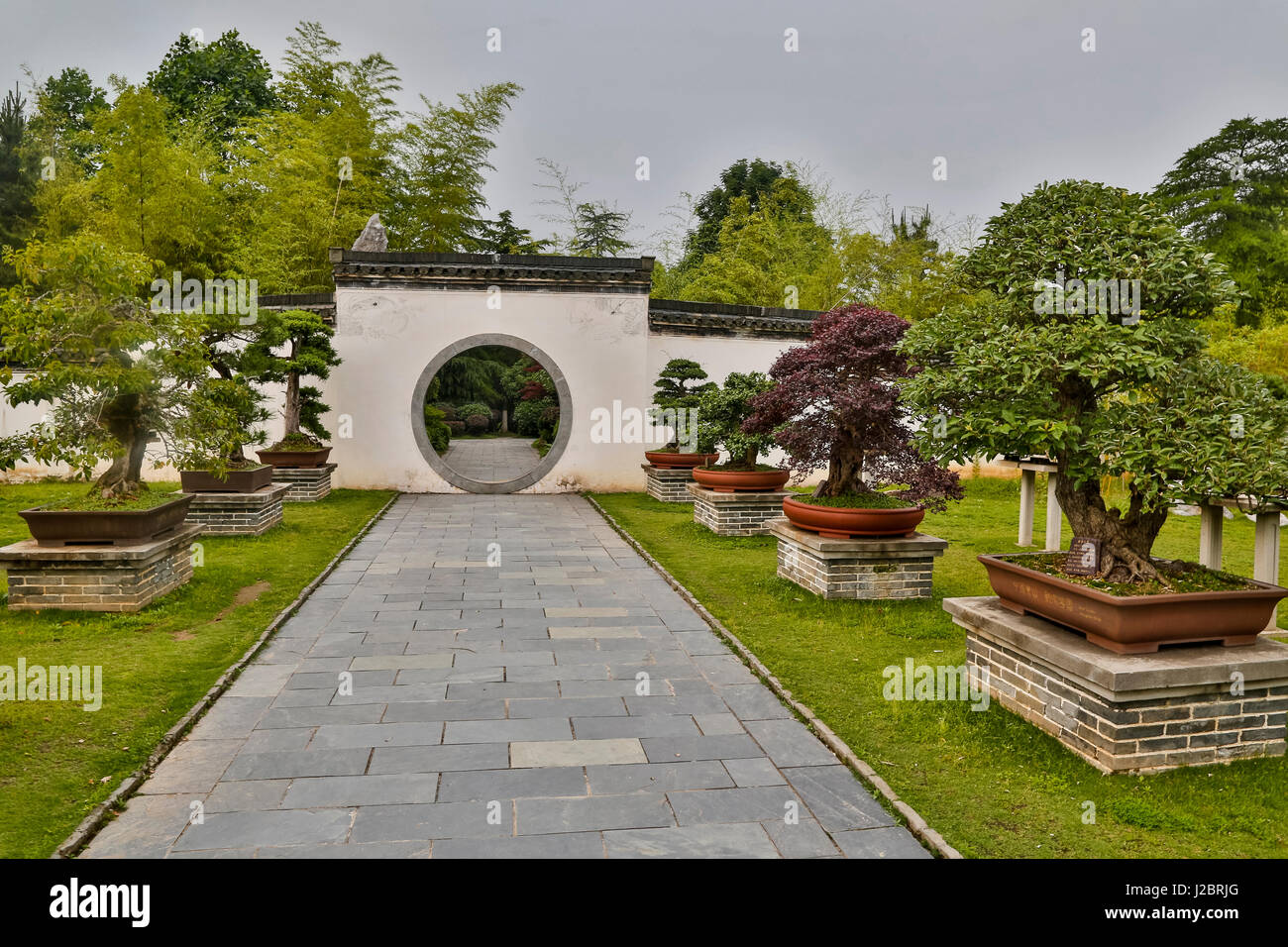 Bao famille Bonsai jardin à l'extérieur de Huangshan, Chine Banque D'Images