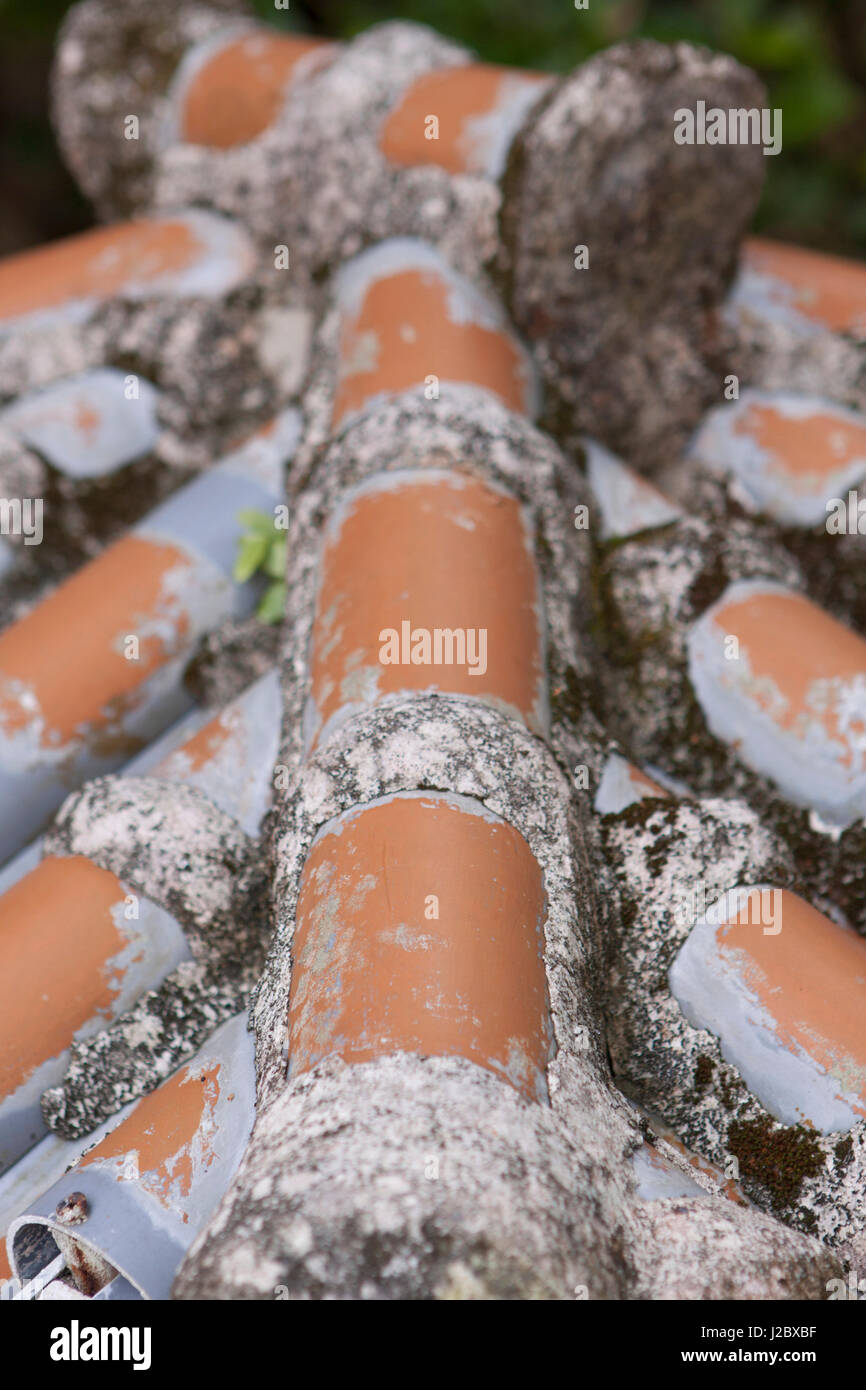 Toit en tuiles de façon complexe d'une traditionnelle maison d'Okinawa sur l'affichage à Ryukyu Mura, un parc à thème dédié à la célébration de l'ancienne culture d'Okinawa. Banque D'Images