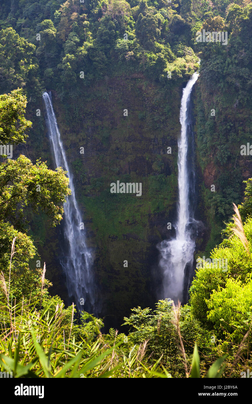 Cascade de Tad Fane, c'est la plus haute cascade du Laos. Plateau des bolavens, Laos. Banque D'Images