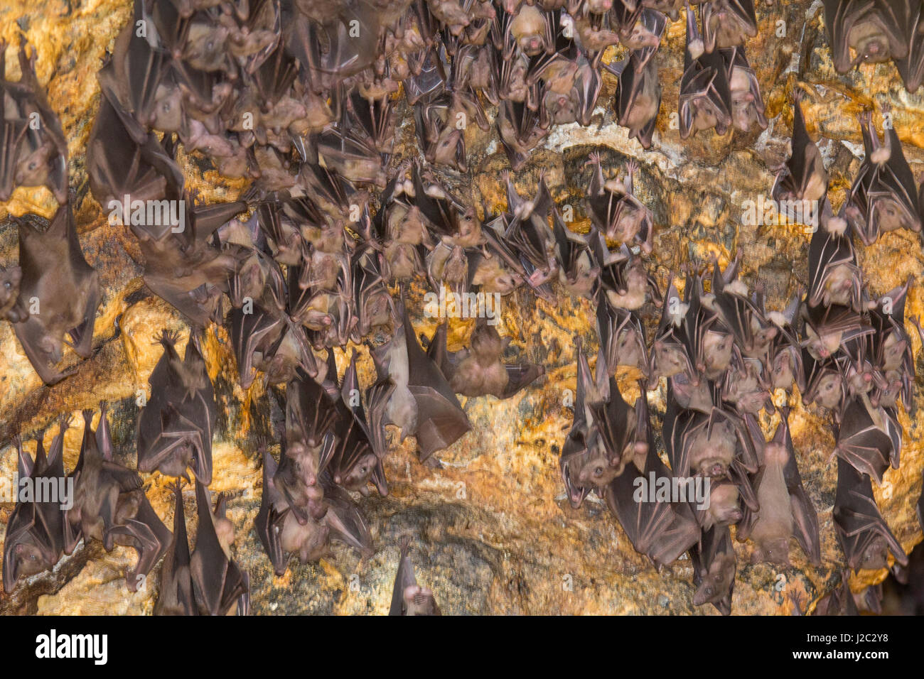 L'INDONÉSIE, Bali. Pura temple Goa Lawah des grottes de chauves-souris, Bali, Indonésie. Banque D'Images