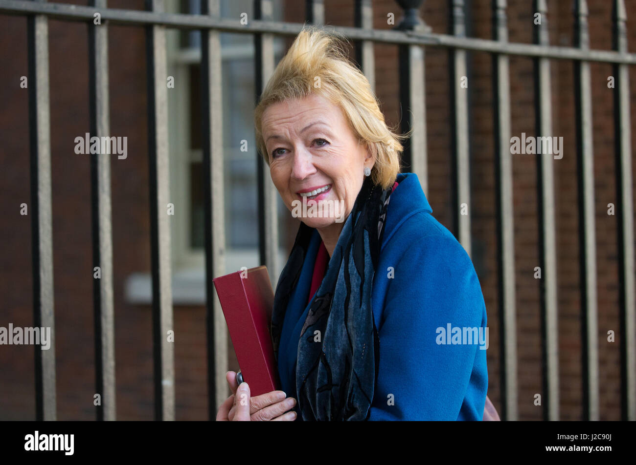 Andrea Leadsom,Ministre d'État à l'environnement, de l'alimentation et des affaires rurales arrive au 10 Downing Street pour une réunion du Cabinet Banque D'Images