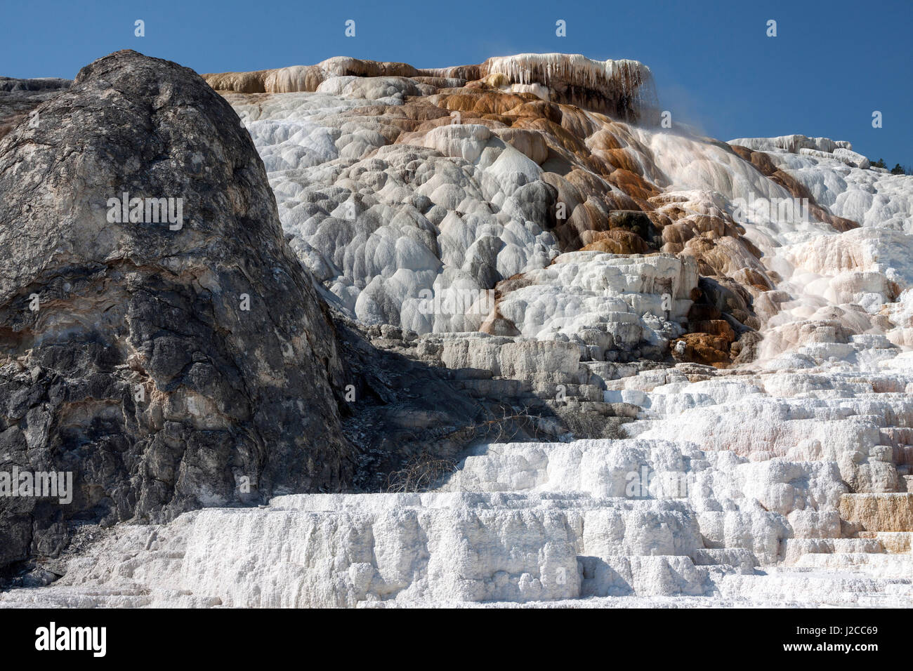 Terrasses en travertin, des sources chaudes, des gisements minéraux, Palette Printemps, terrasses inférieures, Mammoth Hot Springs Banque D'Images