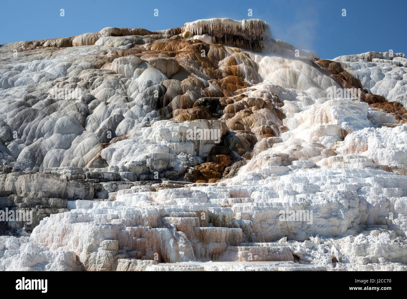 Terrasses en travertin, des sources chaudes, des gisements minéraux, Palette Printemps, terrasses inférieures, Mammoth Hot Springs Banque D'Images