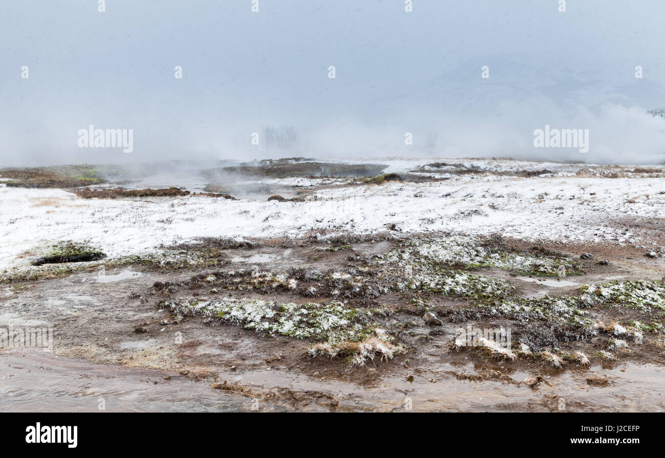 L'ébullition de l'eau du geyser dans le sud-ouest de l'Islande, journée d'hiver brumeux Banque D'Images