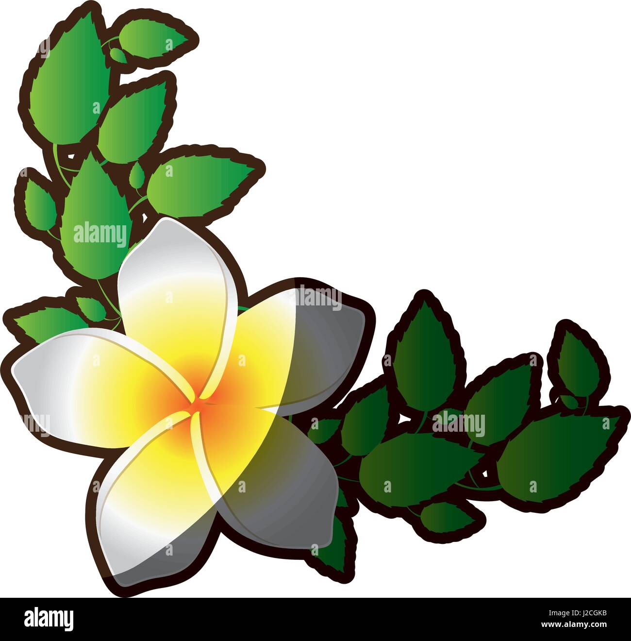 Cadre décoratif d'ossature d'une ombre de fleur et feuilles malva unique Illustration de Vecteur