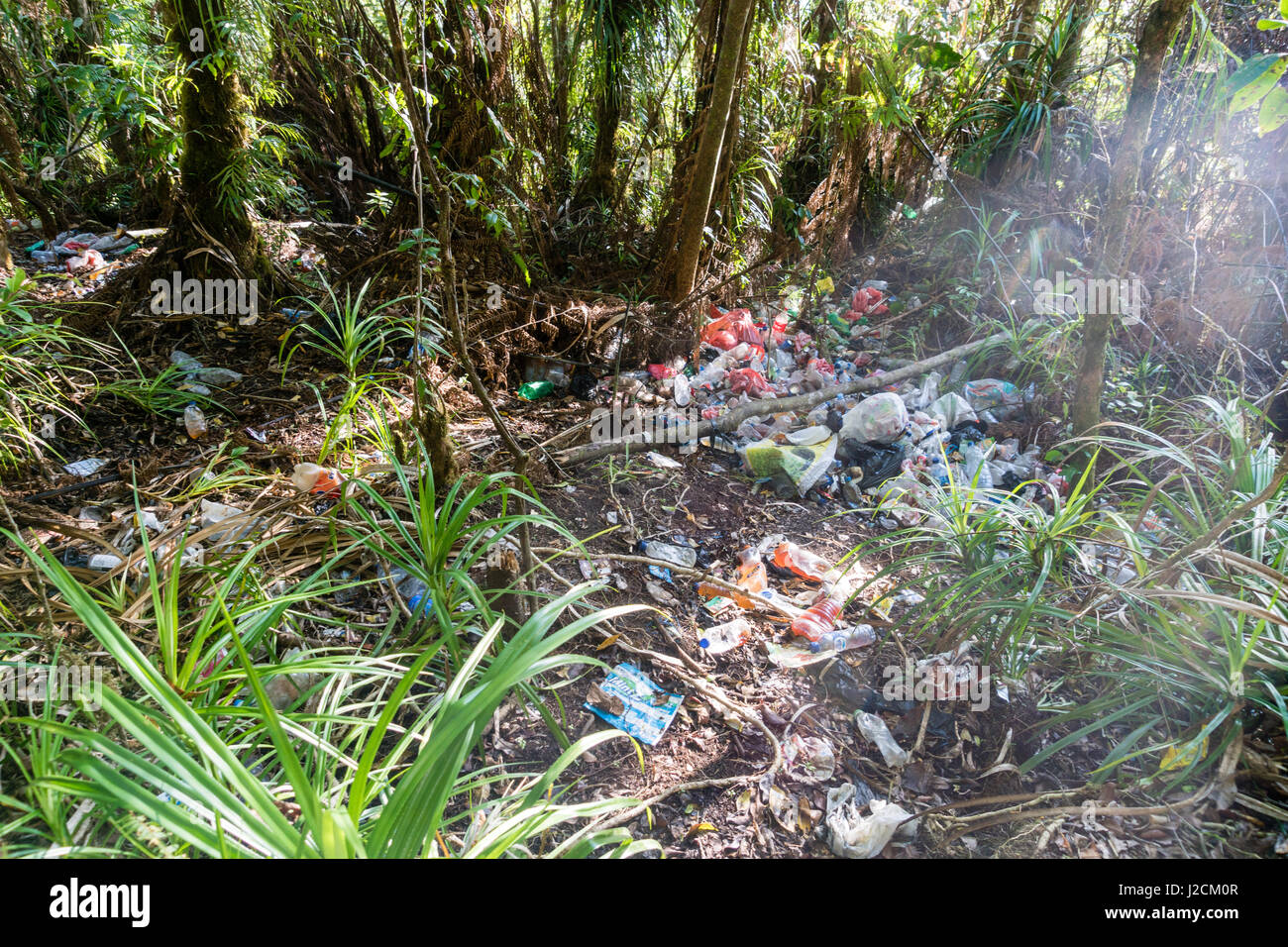 L'Indonésie, Maluku Utara, Kota Tidore, Kepulauan vos déchets dans la nature au nord sur Molikken Pulau Tidore Banque D'Images