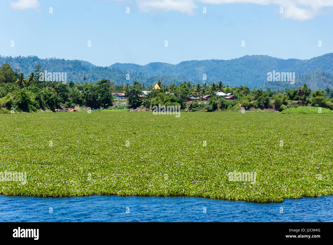 L'Indonésie, Maluku Utara, Kabupaten Halmahera Utara, Landsdchaft au lac près de Galela sur le nord de l'Molikken Banque D'Images