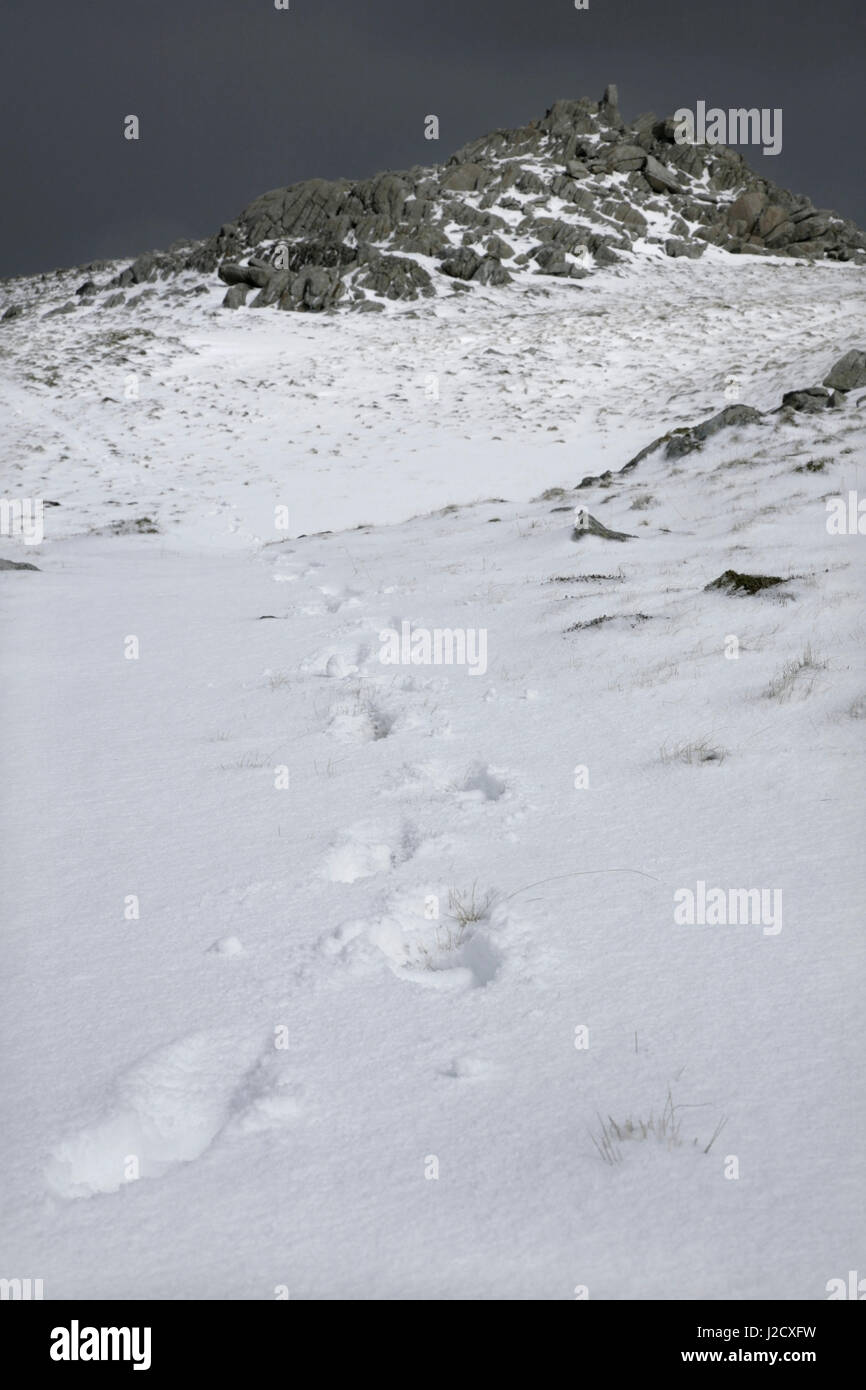 Sommet mondial de Y Foel Goch galles en hiver. Banque D'Images