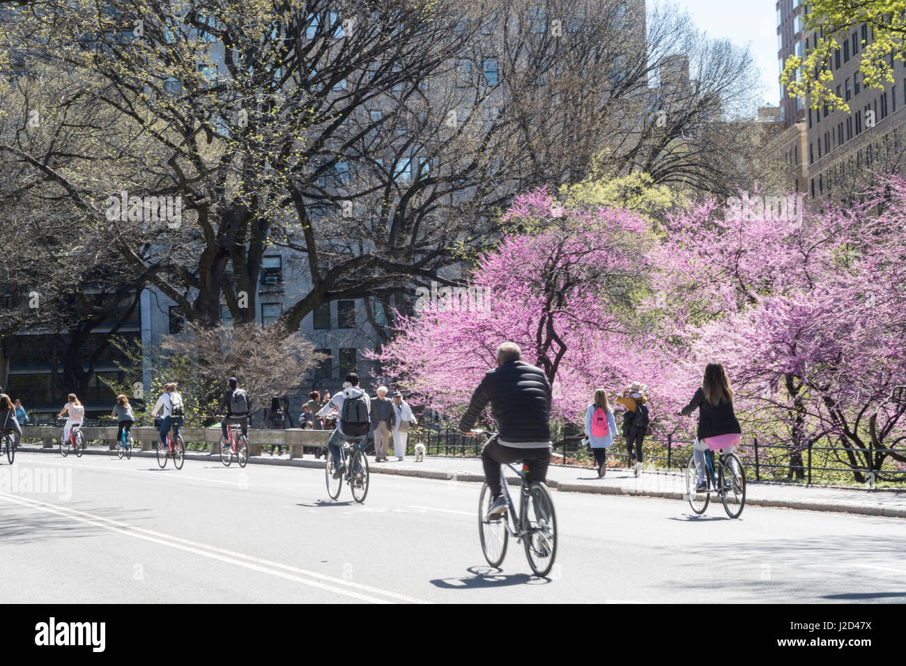 Central Park au printemps, New York City, USA Banque D'Images