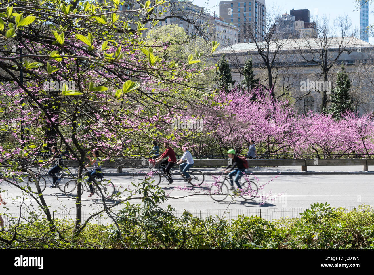 Central Park au printemps, New York City, USA Banque D'Images