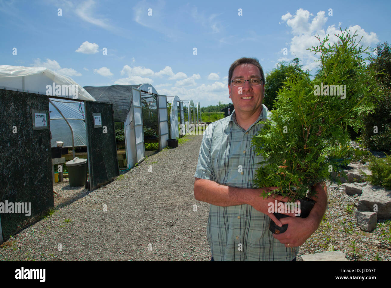 Propriétaire et maître jardinier, Ken Parker (Seneca) de Sweet Grass Gardens Nursery porte plusieurs rares ou difficiles à trouver des espèces de plantes qui sont cultivées dans de grandes maisons vertes. Six Nations de la rivière Grand, réservation d'Ohsweken (Ontario) Canada Banque D'Images