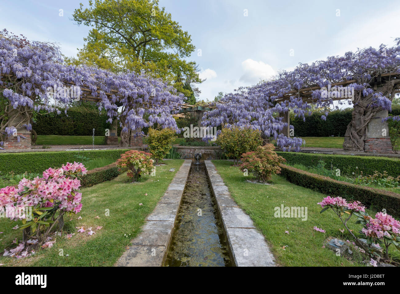 Stoke Poges, UK. Apr 27, 2017. Météo France : la pergola de glycines dans Stoke Poges Memorial Gardens, près de Slough, dans le Buckinghamshire, est en ce moment à fleur. Crédit : Stephen Chung/Alamy Live News Banque D'Images