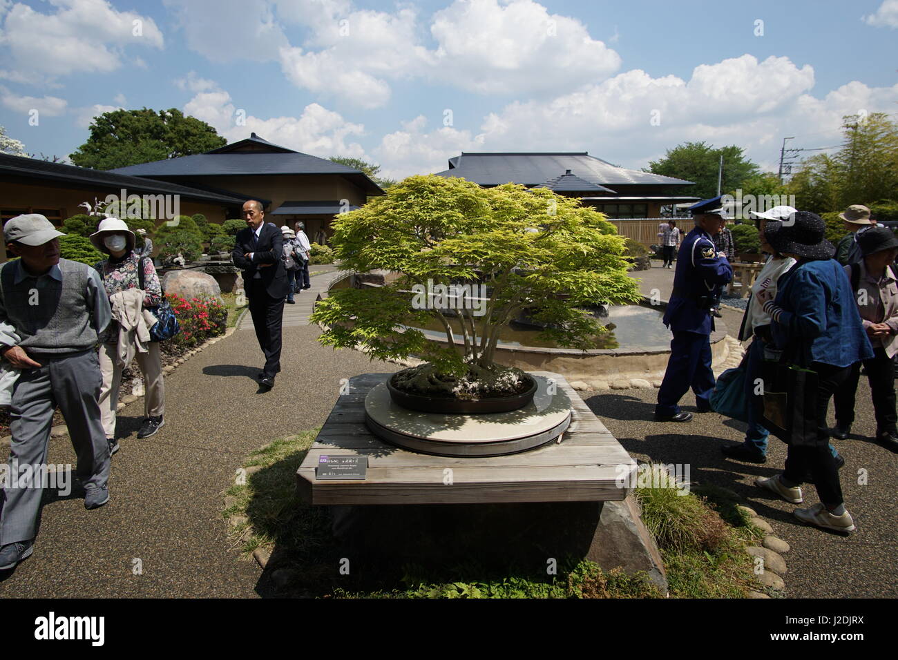 Saitama, Japon. 28 avril, 2017. Les arbres exposés au Musée de l'Art Bonsaï Omiya le 27 avril 2017 à Saitama, au Japon. Le musée a une exposition spéciale pour commémorer la 8e Convention de Bonsai qui a lieu à Tokyo, du 27 au 30 avril. Credit : AFLO Co.,Ltd/Alamy Live News Banque D'Images