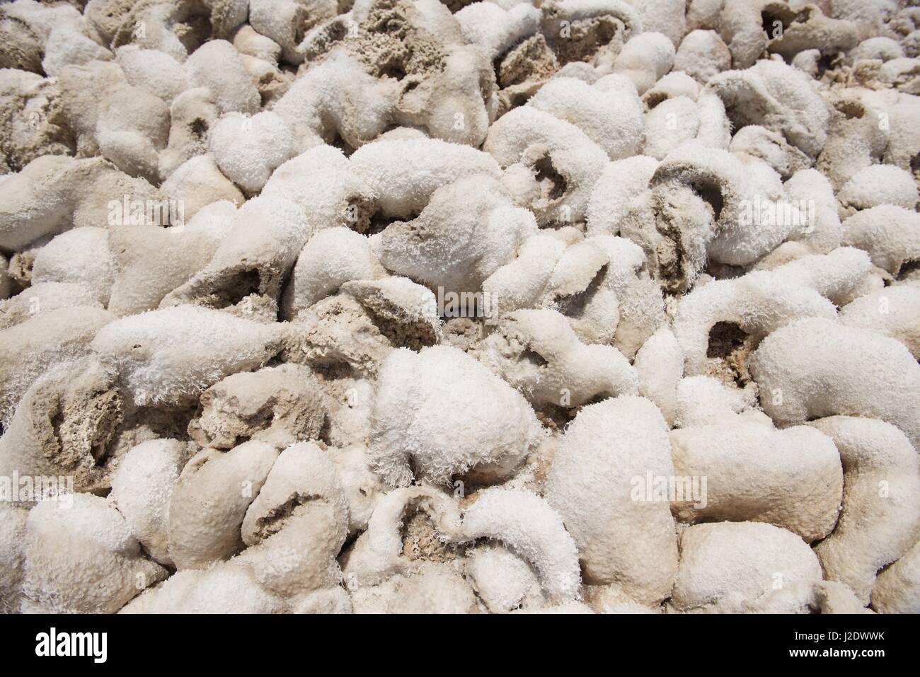 Sous forme de dépôts de sels près de bassin de Badwater dans la vallée de la mort qui est le meilleur endroit sur terre et le point le plus bas d'Amérique du Nord à -86m sous la mer Banque D'Images