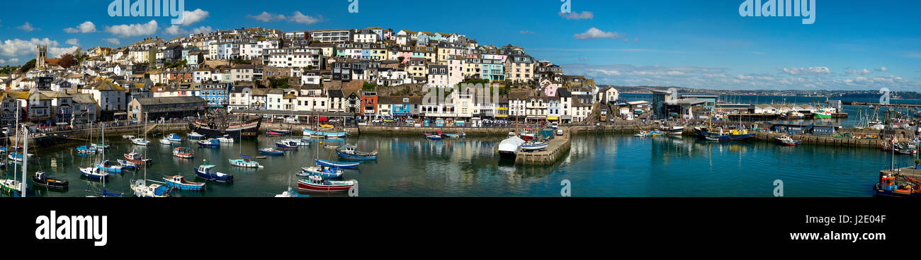 Go - DEVON : vue panoramique de Brixham Harbour Banque D'Images