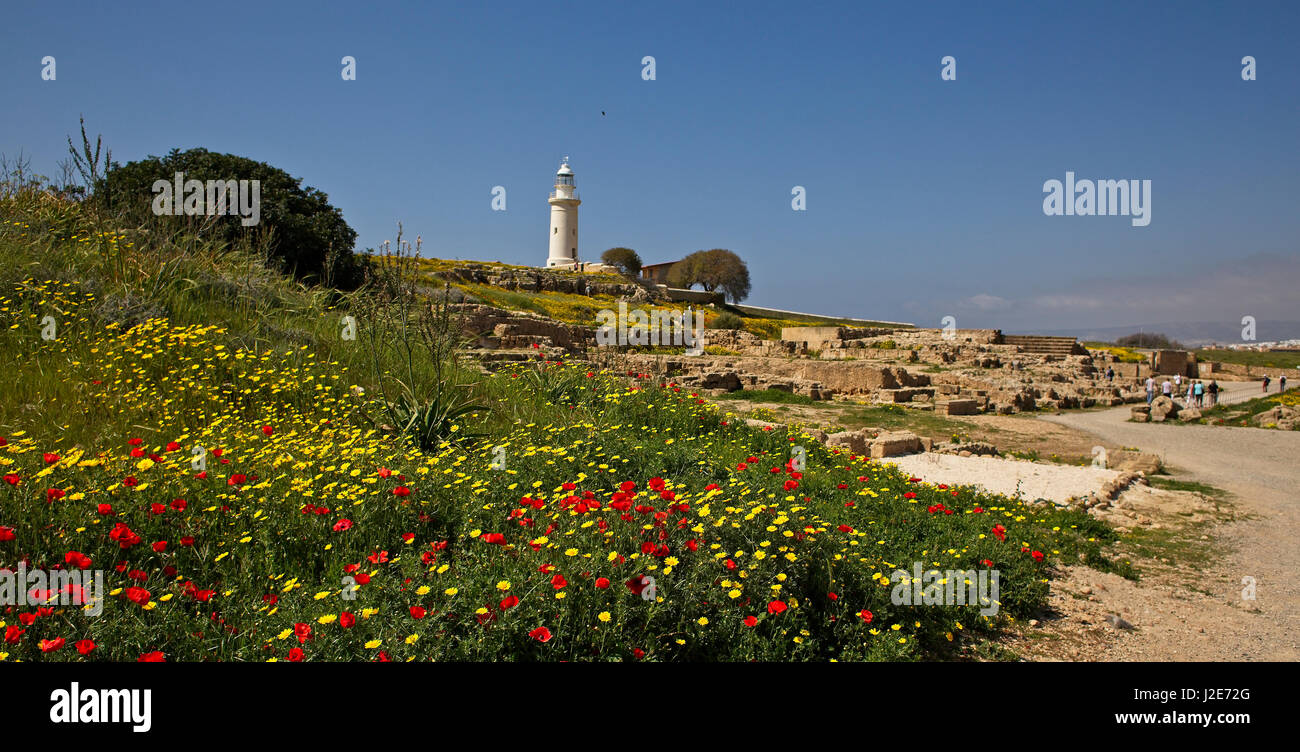 Fleurs de Printemps, l'amphithéâtre romain et le phare de Paphos, Chypre pointe. Banque D'Images