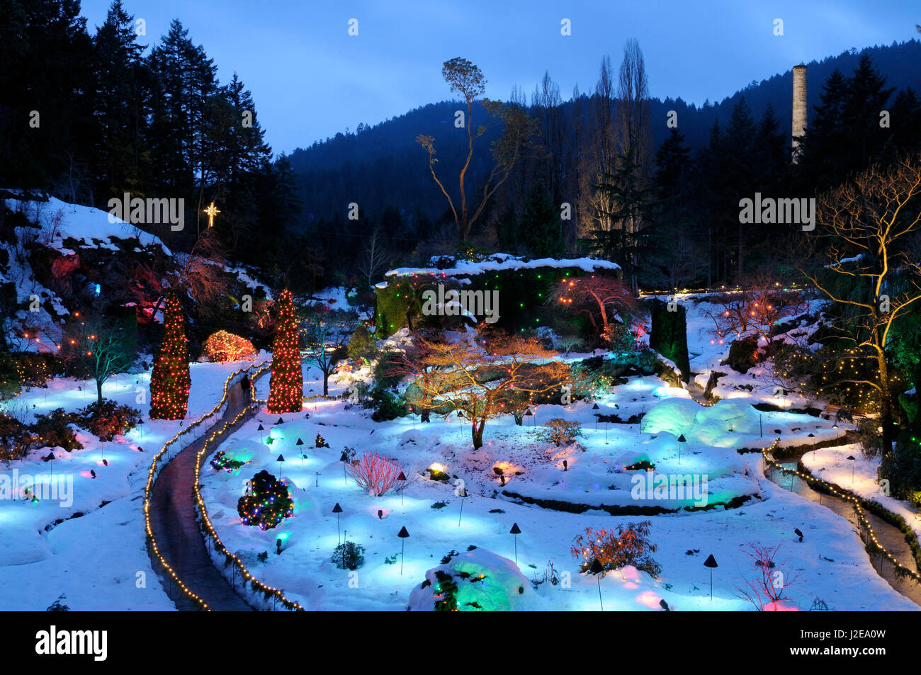 Le Canada, la Colombie-Britannique, Victoria. L'hiver à la sunken garden, Butchart Gardens Banque D'Images