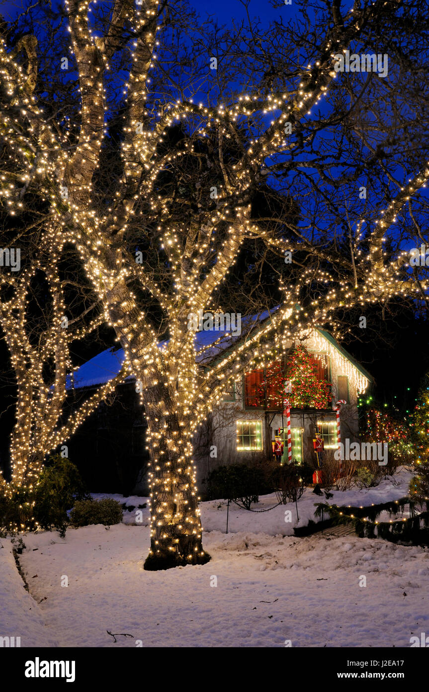 Le Canada, la Colombie-Britannique, Victoria. Les lumières de Noël à Butchart Gardens Banque D'Images