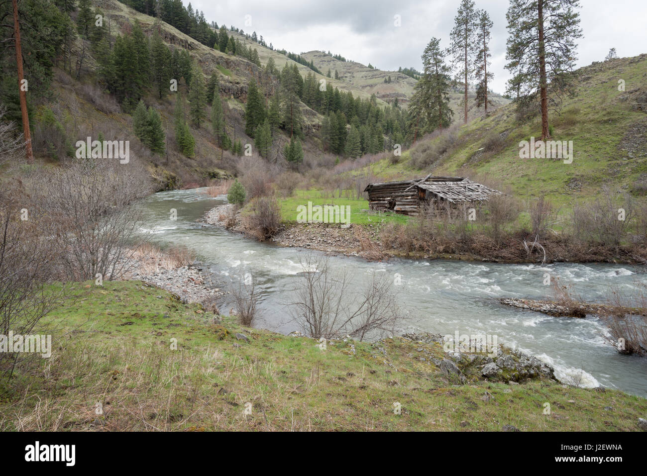 Ancienne grange en rondins le long Joseph Creek dans le nord-est de l'Oregon. Banque D'Images