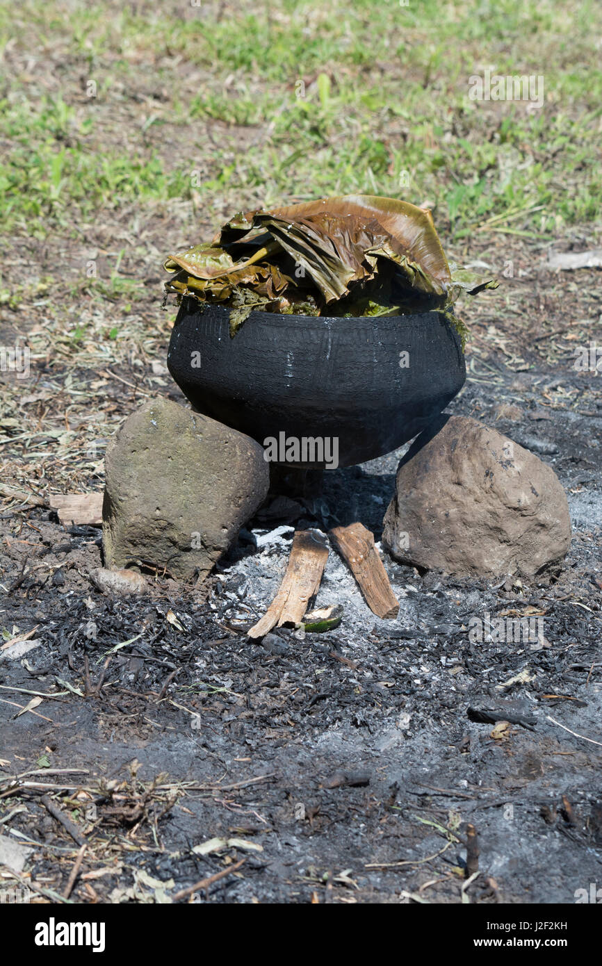 En Mélanésie, la Papouasie-Nouvelle-Guinée, l'île de Dobu. La poterie typique cocotte sur feu ouvert Cuisiner les poissons et les légumes couverts de feuilles de palmier à la vapeur le repas. Banque D'Images