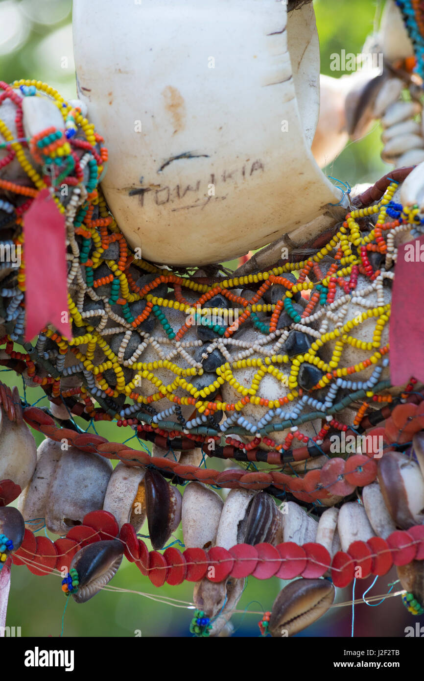 En Mélanésie, la Papouasie-Nouvelle-Guinée, l'île de Dobu. Vintage coquillage historique et des artefacts qui font l'objet d'échanges entre les villages et s'affichent indiquant la richesse des villages, pas à vendre et pas de souvenirs. Banque D'Images