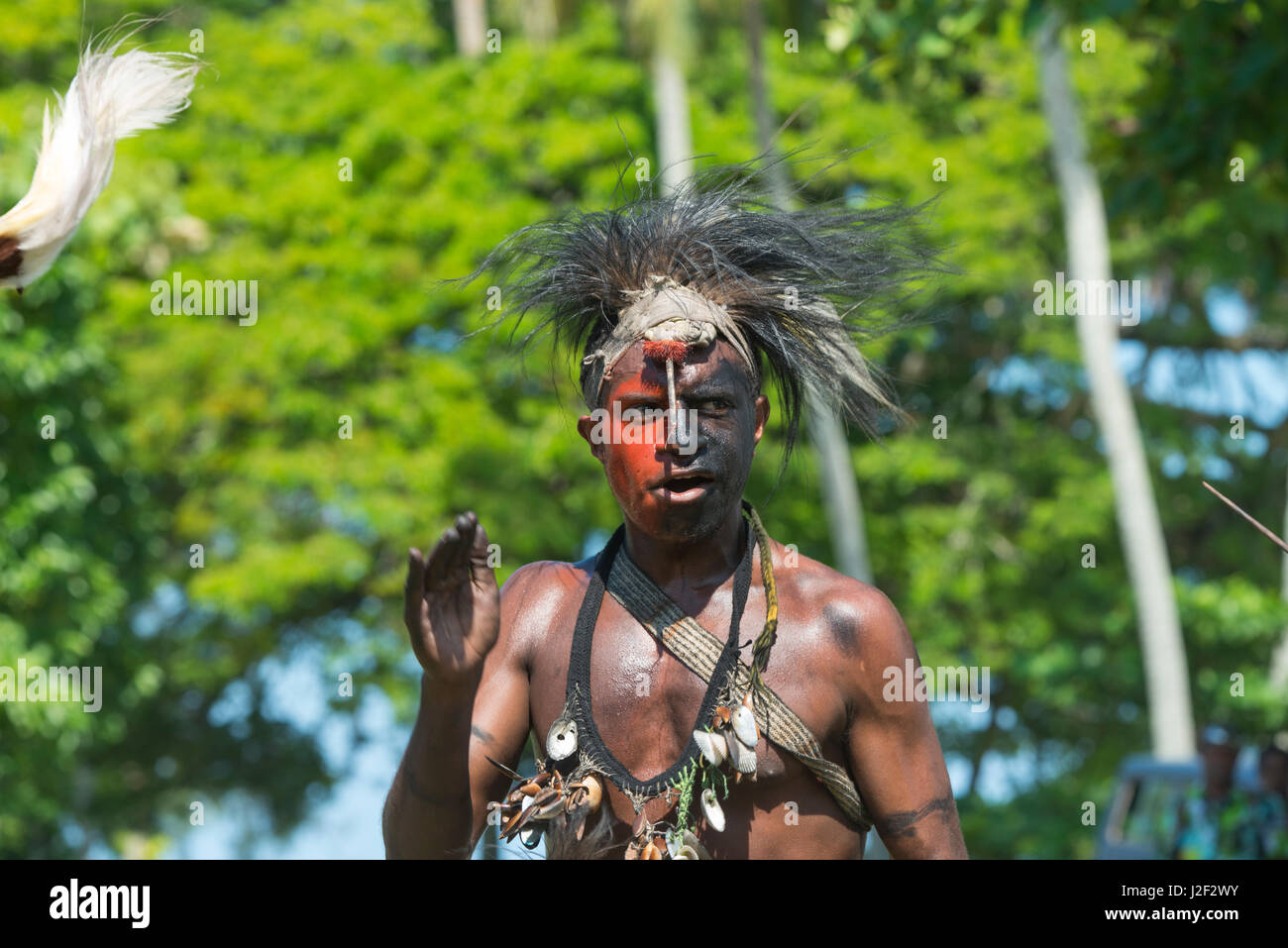 En Mélanésie, la Papouasie-Nouvelle-Guinée. Village de Vanimo. Accueil traditionnel sing-sing avec des villageois en tenue d'origine et visage peint. Tailles disponibles (grand format) Banque D'Images