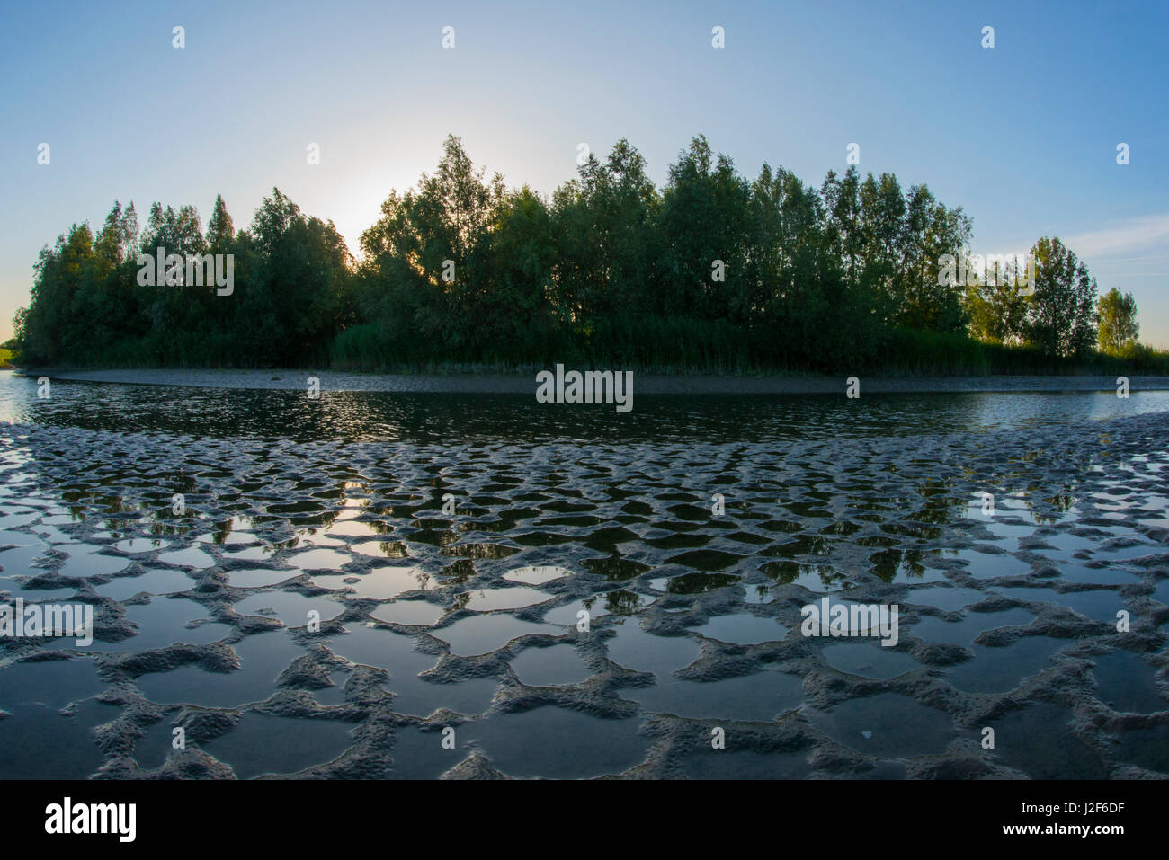 Dans les vasières tidales delta néerlandais Banque D'Images