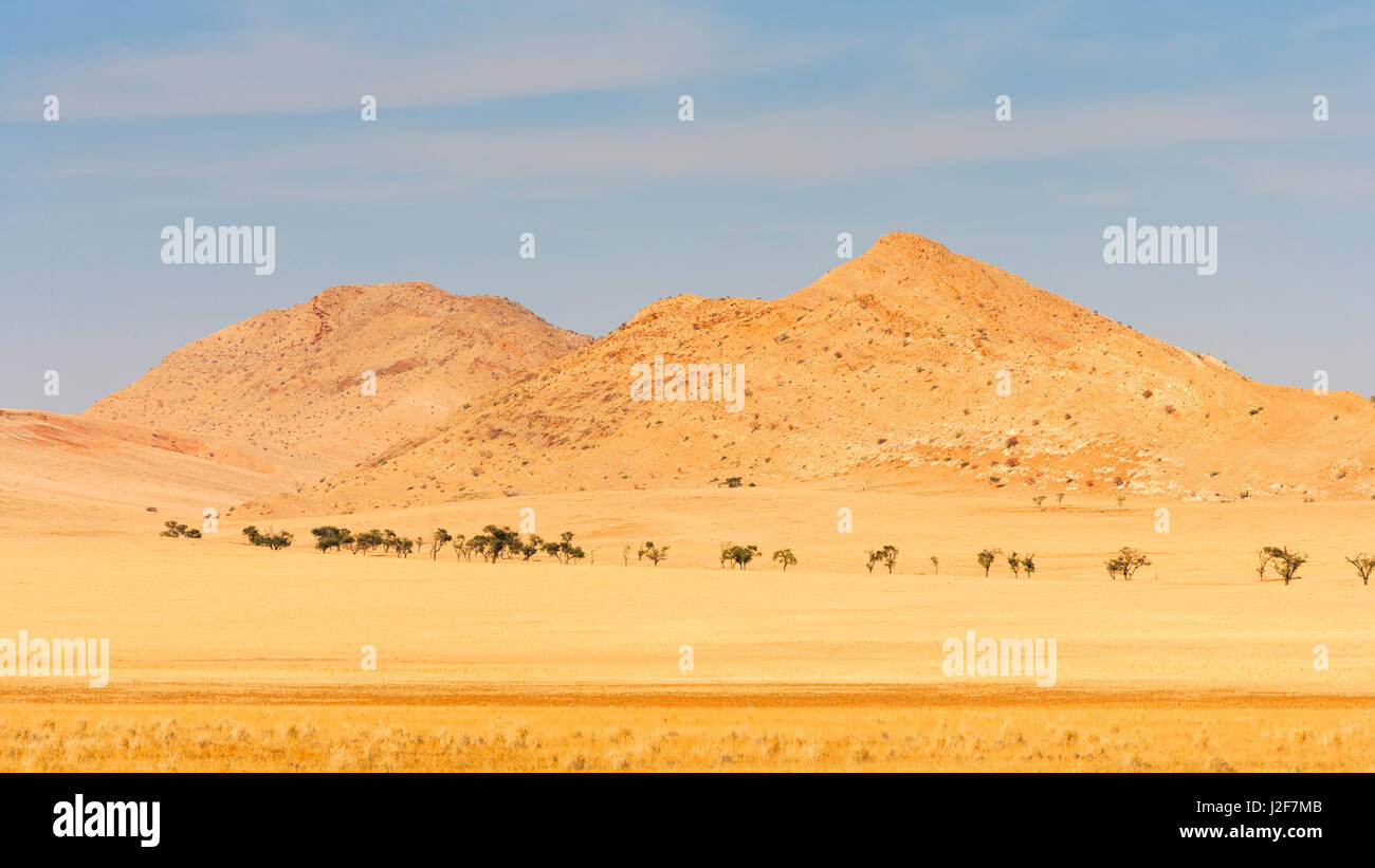 Paysage avec montagnes et séché, l'herbe jaune dans le Namib Rand Nature Reserve Banque D'Images